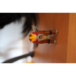 ProductDetailPicture