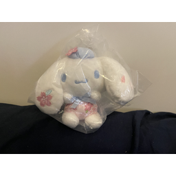 ProductDetailPicture