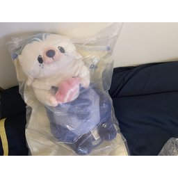 ProductDetailPicture