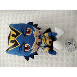 ProductDetailPicture