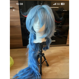 ProductDetailPicture