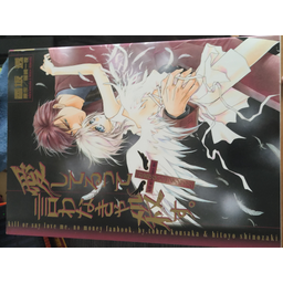 ProductDetailPicture