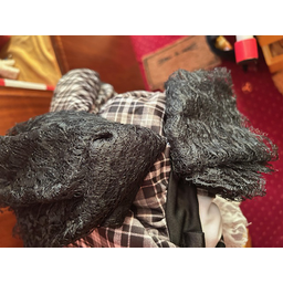 ProductDetailPicture