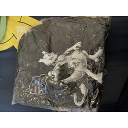 ProductDetailPicture