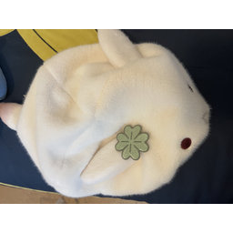 ProductDetailPicture