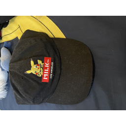 ProductDetailPicture