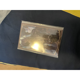 ProductDetailPicture