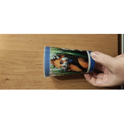 ProductDetailPicture